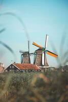 Beliebt Tourist Stelle zaanse schans ist in der Nähe von Amsterdam im das Westen von das Niederlande. historisch, realistisch Windmühlen während Sonnenaufgang. Hollands Wahrzeichen foto