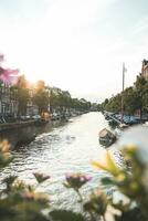 Sonnenuntergang leuchtet ein Wasser Kanal und benachbart Gebäude im das Hauptstadt Stadt von amsterdam, das Niederlande. Venedig von das Norden foto