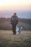 jung Zynologe, ein Hund Trainer Züge ein vierbeinig Haustier australisch Schäfer im Basic Befehle mit behandelt. Liebe zwischen Hund und Mensch foto