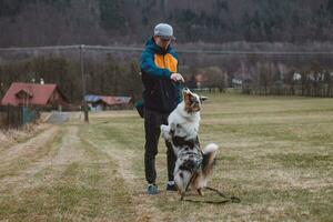 jung Zynologe, ein Hund Trainer Züge ein vierbeinig Haustier australisch Schäfer im Basic Befehle mit behandelt. Liebe zwischen Hund und Mensch. Niedlichkeit foto