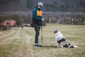 jung Zynologe, ein Hund Trainer Züge ein vierbeinig Haustier australisch Schäfer im Basic Befehle mit behandelt. Liebe zwischen Hund und Mensch. Niedlichkeit foto