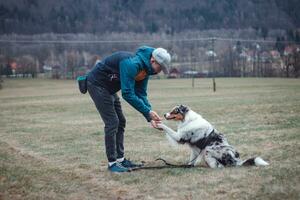 jung Zynologe, ein Hund Trainer Züge ein vierbeinig Haustier australisch Schäfer im Basic Befehle mit behandelt. Liebe zwischen Hund und Mensch foto