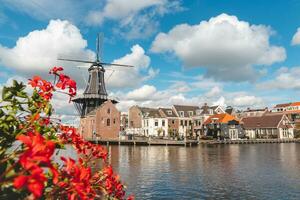 Aussicht von Haarlem Stadt Center mit das beleuchtet historisch Mühle und Gebäude. typisch Niederländisch die Architektur. erkunden Holland foto