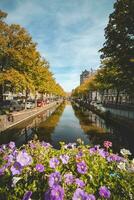 von Bäumen gesäumt Allee um das Stadt Kanal mit Blick auf das Wolkenkratzer im den haag, Western Niederlande. Sommer- im das Niederlande foto