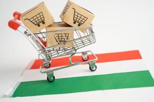 Box mit Einkaufswagen-Logo und ungarischer Flagge, Import-Export-Shopping online oder E-Commerce-Finanzierungslieferservice Shop-Produktversand, Handel, Lieferantenkonzept