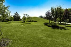 Sommer- Landschaft mit Grün Rasen und Hügel umgeben durch Bäume foto