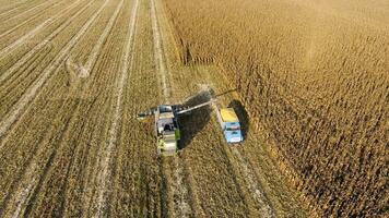 kombinieren Mähdrescher gießt Mais Korn in das LKW Körper. ernte foto