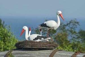 Spielzeug Nest von ein Storch mit Vögel auf es foto