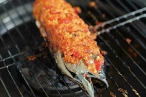 gegrillt Skipjack Thunfisch oder cakalang mit köstlich würzig Würze foto