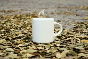 Weiß Kaffee Tasse auf das Boden mit trocken Blätter von das Regen Baum. foto