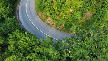 Straße im das Wald Antenne Fotografie oben Nieder Aussicht foto