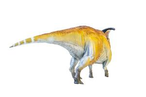 Parasaurolophus Dinosaurier isoliert Hintergrund foto