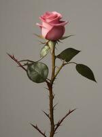 ai generiert kostenlos feiern Liebe glücklich Valentinstag Tag mit atemberaubend Rose Blumen, generativ ai foto