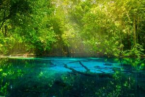 tolle Natur, Blau Teich im das Wald. krabi, Thailand. foto