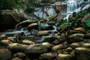 Wasserfall und Felsen im Wald foto