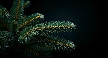 ai generiert schweizerisch Tanne Weihnachten Baum isoliert auf dunkel Hintergrund Weihnachten Baum foto