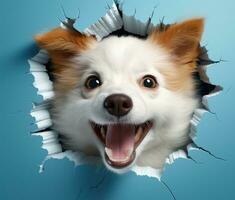 ai generiert ein lächelnd Hund spähen aus von das Loch im ein Blau Wand, foto