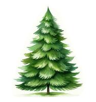 ai generiert ein gemalt Weihnachten Baum auf ein Weiß Hintergrund, foto