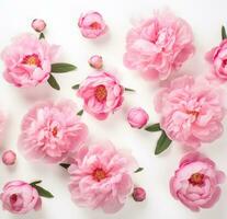 ai generiert Rosa Pfingstrose Blumen auf ein Weiß Hintergrund foto