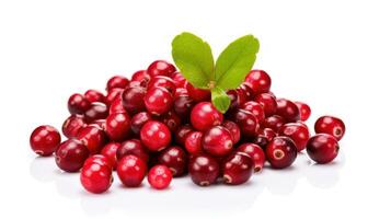ai generiert Cranberry schließen oben auf ein Weiß Hintergrund. frisch reif rot Beeren. ein gesund Obst voll von Vitamine und Antioxidantien. perfekt zum Essen und trinken verbunden Inhalt, kulinarisch und Essen bloggen. foto