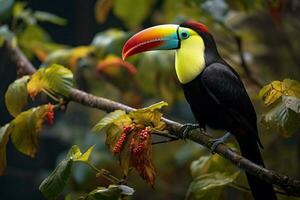 ai generiert beschwingt Kiel in Rechnung gestellt Tukan inmitten Panama Reich Vegetation ein fesselnd Tierwelt Szene ai generiert foto