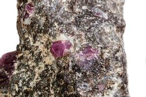 Makro von ein Mineral Rubin Stein auf ein Weiß Hintergrund foto