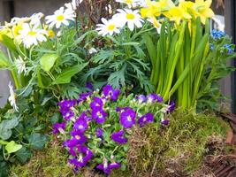 ein Blume Anordnung mit ein Vielfalt von Blumen foto