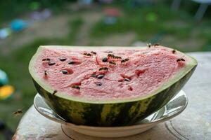 Wespe Essen saftig rot frisch gehackt Wassermelone foto