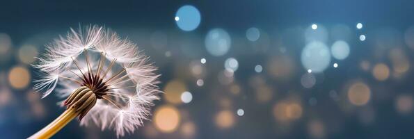 ai generiert abstrakt verschwommen Natur Hintergrund Löwenzahn Saat Fallschirm. Bokeh Muster. generativ ai foto