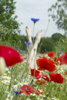 weiblich Beine Stock aus von das Feld von mehrfarbig Blumen, Explosion von Farbe foto