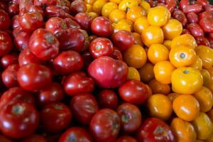 verschiedene Tomaten foto