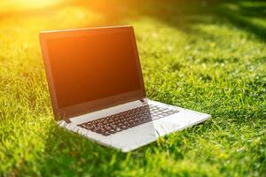Laptop mit leer Bildschirm auf Grün Rasen foto