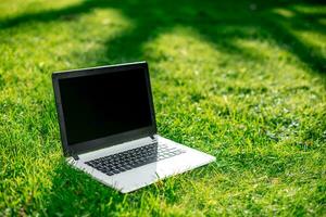 Laptop mit leer Bildschirm auf Grün Rasen foto