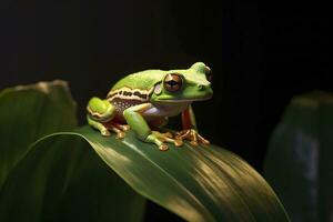 ai generiert Baum Frosch Sitzung auf Pflanze. ai generiert foto