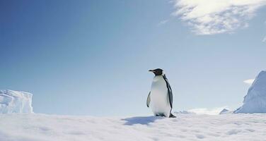 ai generiert Pinguin Stehen im Antarktis suchen in das Blau Himmel. ai generiert foto