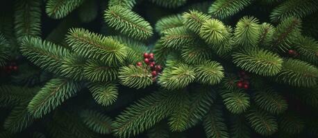 ai generiert Weihnachten Baum Geäst auf ein natürlich Hintergrund. ai generiert foto