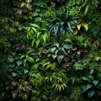ai generiert pflanzenbedeckt Wand, mit verschiedene Pflanze Spezies vereinbart worden im ein schön Muster. foto