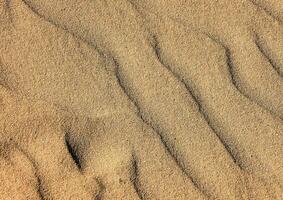 Sand Textur Hintergrund foto