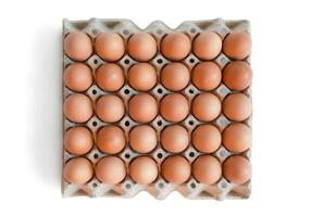 Ei Tablett mit frisch braun Eier isoliert auf Weiß Hintergrund, Ausschnitt Weg. frisch organisch Hähnchen Eier im Karton Kasten. foto