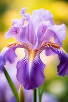 ai generiert ein Nahansicht von ein lila Iris mit ein Sanft Fokus Hintergrund foto