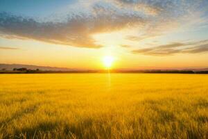 ai generiert golden Stunde Sonnenuntergang auf das Feld. Profi Foto