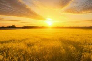 ai generiert golden Stunde Sonnenuntergang auf das Feld. Profi Foto