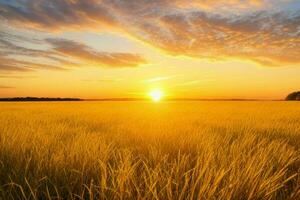 ai generiert golden Stunde Sonnenuntergang auf das Feld. Profi Foto