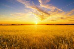 ai generiert golden Stunde Sonnenuntergang auf das Feld. Profi Foto