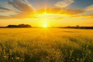 ai generiert golden Stunde Sonnenuntergang auf das Feld. Profi Foto