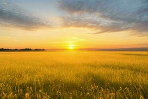 ai generiert golden Stunde Sonnenuntergang auf das Feld. Profi Foto