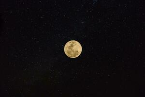 Mond im das dunkel Nacht. foto