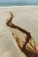 das schmutzig Flecken auf das Strand foto