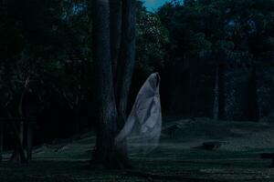 niedrig Schlüssel Bild ein verwischen Weiß Geist unter groß Baum im uralt Wald. foto