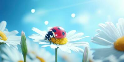 ai generiert ein Marienkäfer auf ein Gänseblümchen, foto